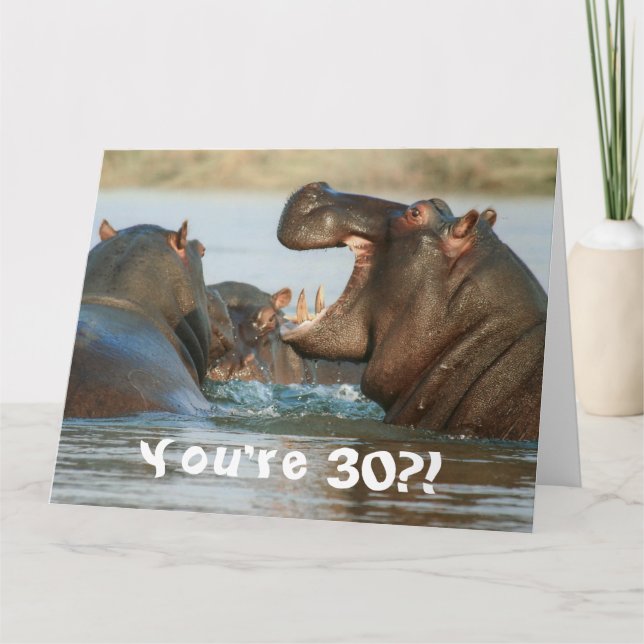 Funny Hippopotamus Hippo Happy 30th Birthday Card (Front)