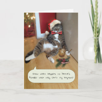 Funny Holiday Cat Card, Santa's Reindeer Card