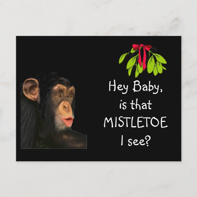 Funny Holiday Greeting Card (Front)