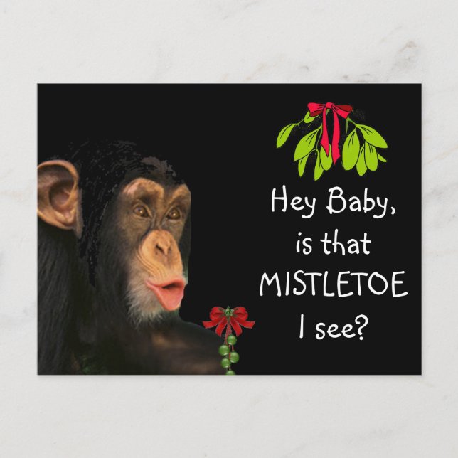 Funny Holiday Greeting Card (Front)
