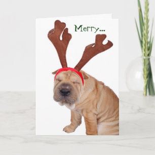 Funny Holiday Greetings from the Dog Card