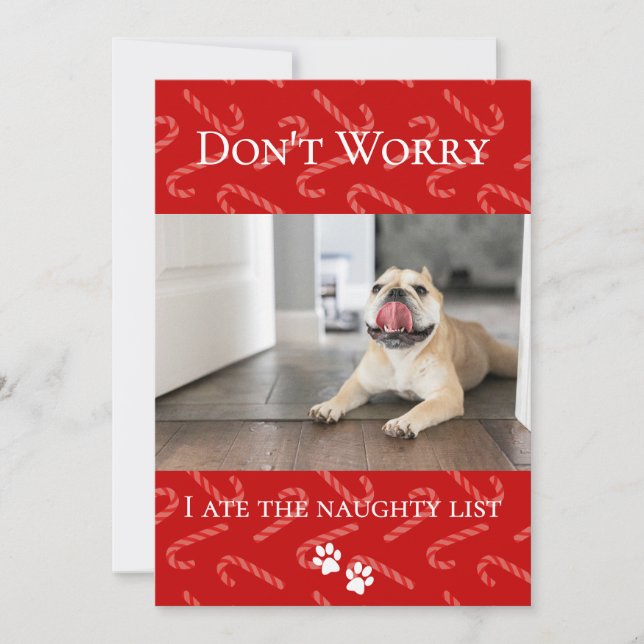 Funny Holiday Pet Holiday Card (Front)