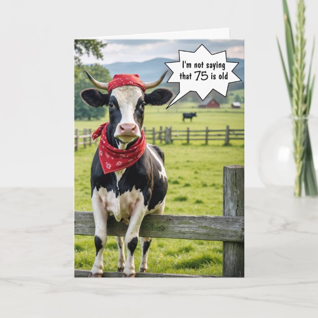 Funny Holstein Cow for 75th Birthday Card (Front)