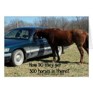 Funny Horse "300 Horse"