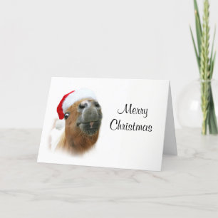 Funny horse Christmas Holiday Card