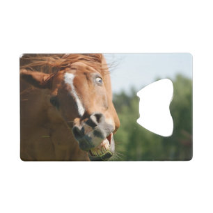 Funny Horse Face with Curled Lips, Crazy Eye