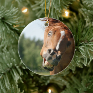 Funny Horse Face with Curled Lips, Crazy Eye Ceramic Tree Decoration