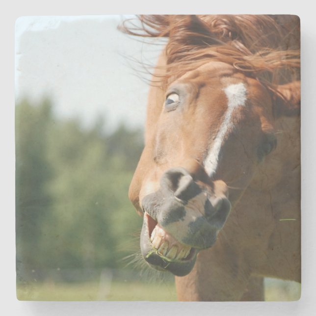 Funny Horse Face with Curled Lips, Crazy Eye Stone Coaster (Front)