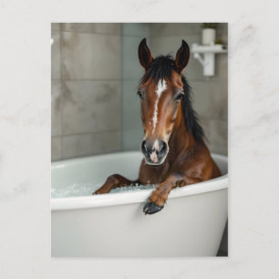 Funny horse in bathroom postcard