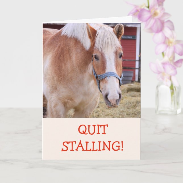 Funny Horse Joke Pun Get Well Card (Orchid)