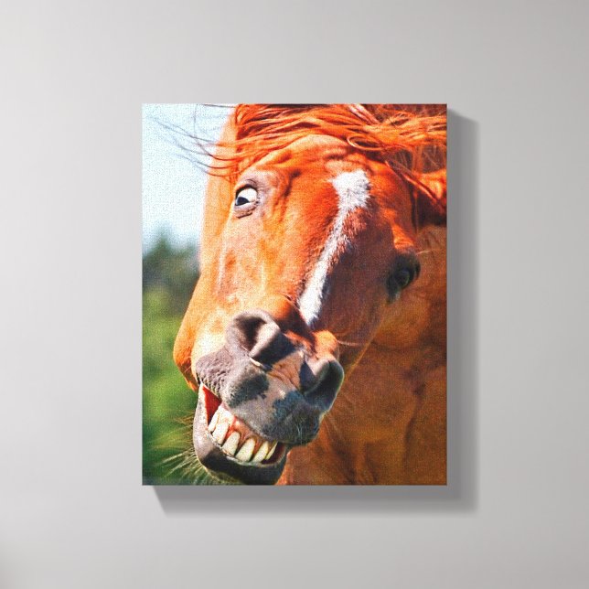 Funny Horse Laughing Photograph Canvas Print (Front)