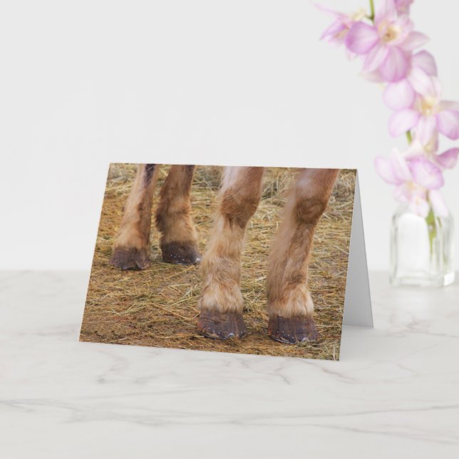 Funny Horse Legs Get Well Card (Orchid)