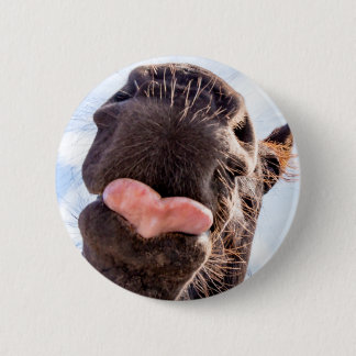 Funny Horse Lick Photograph 6 Cm Round Badge