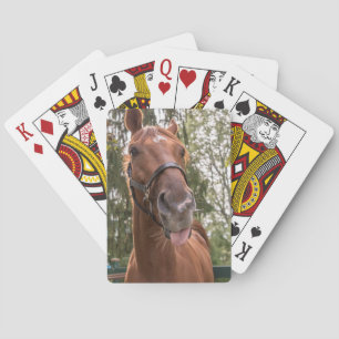 Funny Horse Sticking Out Tongue Photograph Playing Cards