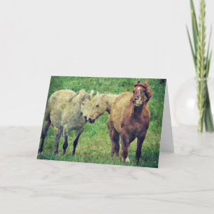 Funny Horses, Birthday Card