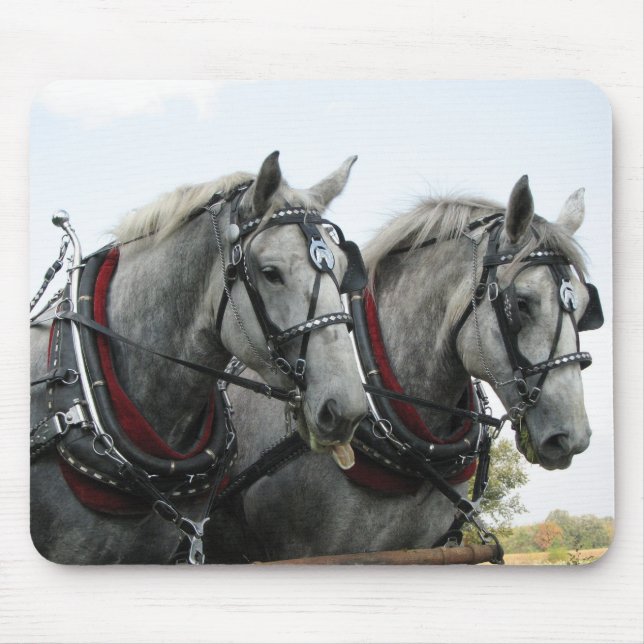 Funny Horses Mouse Pad (Front)