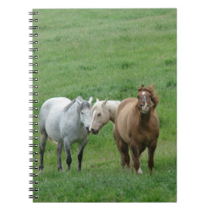 Funny Horses Spiral Notebook