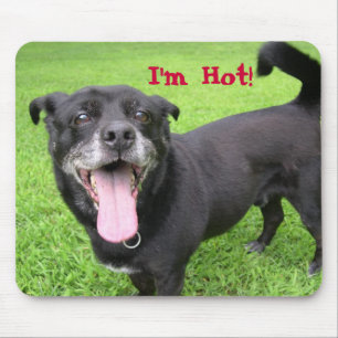Funny Hot Dog Mouse Pad