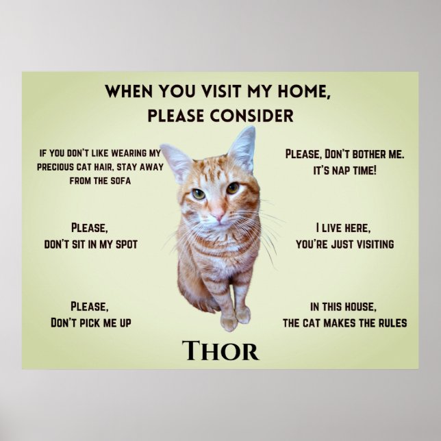 Funny House Rules (personalised with cat's photo) Poster (Front)