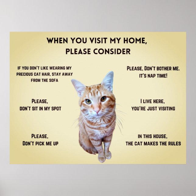 Funny House Rules personalised with cat's photo Poster (Front)