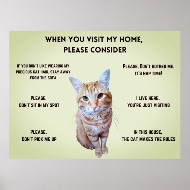 Funny House Rules (personalised with cat's photo) Poster (Front)