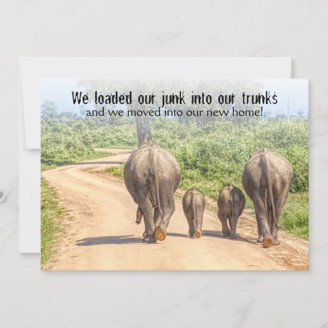  Funny Housewarming Open House Elephants Moved Invitation (Front)