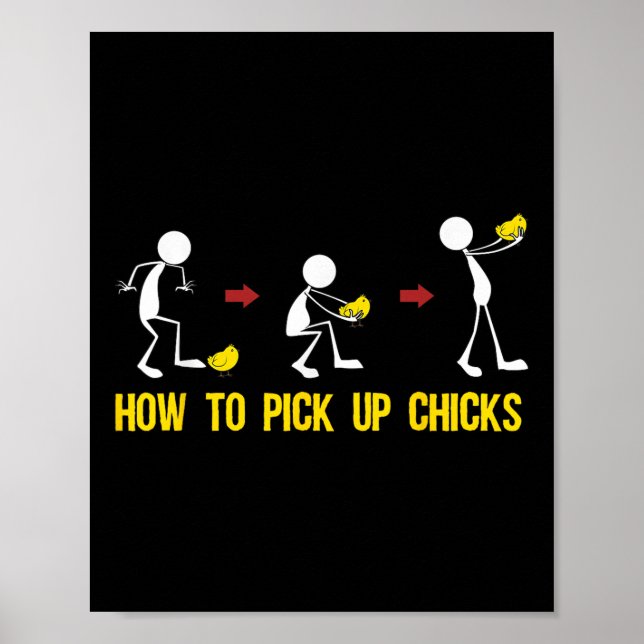 Funny How To Pick Up Chicks Gift For Men Cool Chic Poster (Front)