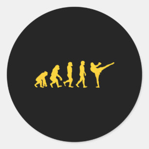 Funny Human Ape Gorilla Evolution Karate Boxing Ki Classic Round Sticker