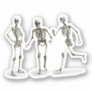 Funny Human Skeleton in Motion Effect