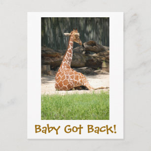 Funny Humourous Postcard