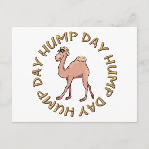 funny hump day camel postcard