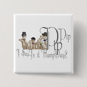 Funny Hump Day Camels in Monocles 15 Cm Square Badge