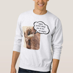 Funny Hump Day Shirt, Talking Camel Sweatshirt