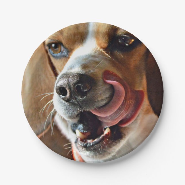 Funny Hungry Beagle Hound Dog Paper Plate (Front)