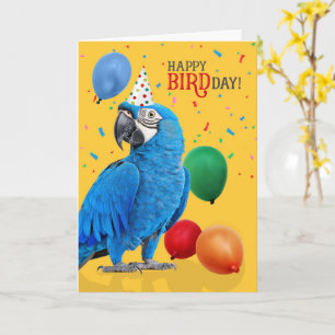 Funny Hyacinth Macaw Parrot Birthday Humor Card