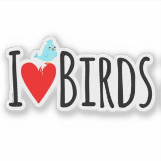 Funny I Love Birds