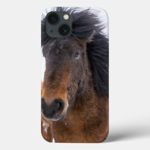Funny Icelandic Horse Portrait iPhone 13 Case