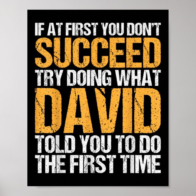 Funny If At First You Dont Succeed Try Doing What  Poster (Front)