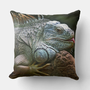 Funny Iguana Cushion
