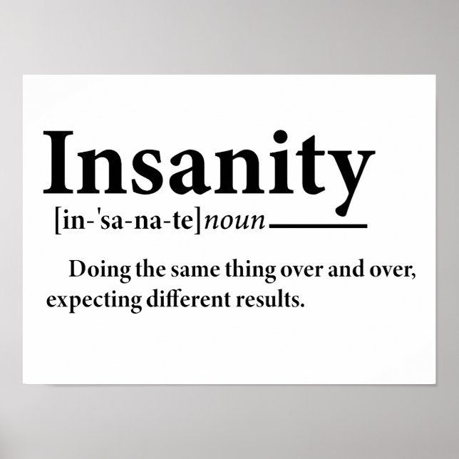 Funny Insanity Definition Insanity Explanation  Poster (Front)