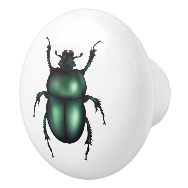 Funny Insect  Ceramic Knob (Right)