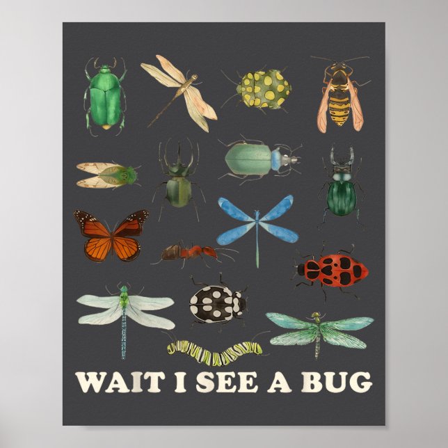 Funny Insect Quote Wait I See A Bug Idea  Poster (Front)