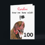 Funny insulting joke chicken 100th birthday card<br><div class="desc">🌶️ Put a smile on a face with this funny insulting age joke chicken 100th birthday card! - Simply click to personalise this design 🔥 My promises - This design has unique hand drawn elements (drawn my me!) - It is designed with you in mind 🙏 Thank you for supporting...</div>