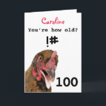 Funny insulting joke chicken 100th birthday card<br><div class="desc">🌶️ Put a smile on a face with this funny insulting age joke chicken 100th birthday card! - Simply click to personalise this design 🔥 My promises - This design has unique hand drawn elements (drawn my me!) - It is designed with you in mind 🙏 Thank you for supporting...</div>