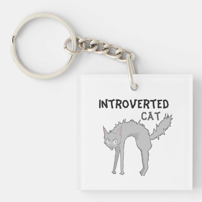Funny introverted cat keychain | friend gift  (Front)