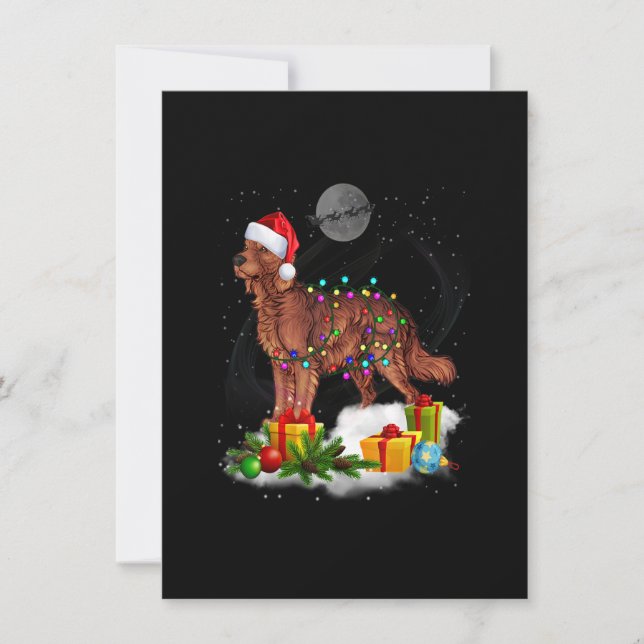 Funny Irish Setter Dog Christmas Lights Santa Hat  Invitation (Front)