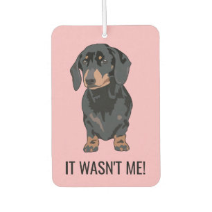 Funny It Wasn't Me Pet Dachshund Dog Car Air Freshener