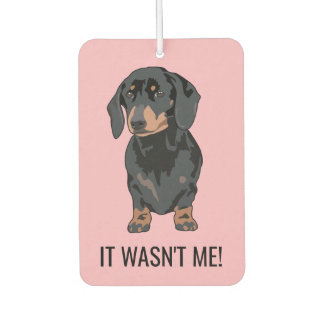 Funny It Wasn't Me Pet Dachshund Dog Car Air Freshener