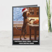 Funny Italian Spinone