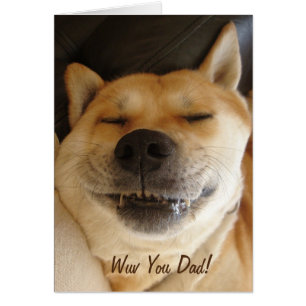 funny Japanese akita with cute smile